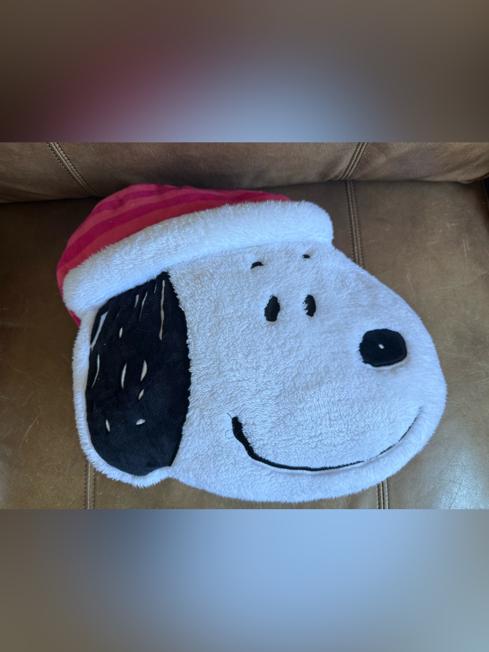 Snoopy Push Pillow